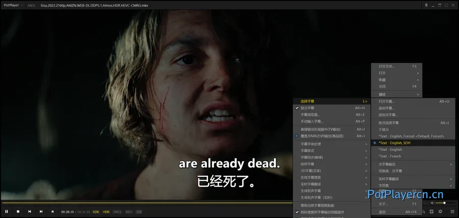 PotPlayer 实时字幕翻译教程