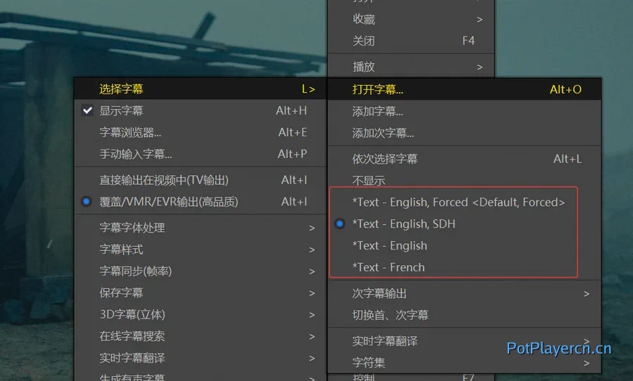 PotPlayer 实时字幕翻译教程