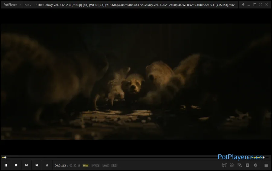 PotPlayer LibTorrent 插件 边下边播