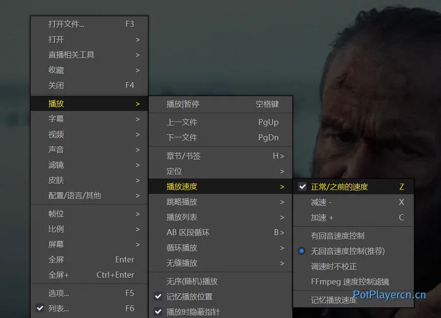 PotPlayer 倍速播放设置
