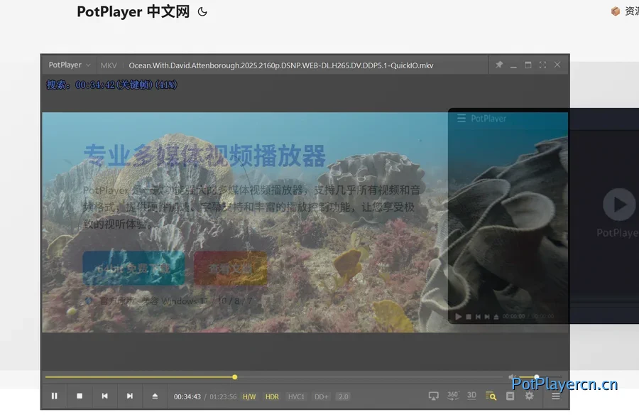 PotPlayer 窗口透明化